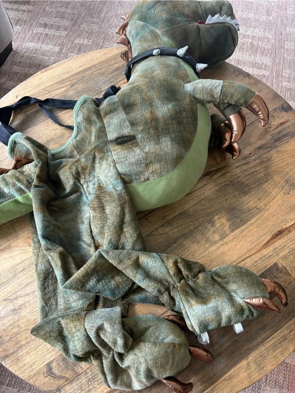 Ministry of Rascals Kids Dinosaur Halloween Costume